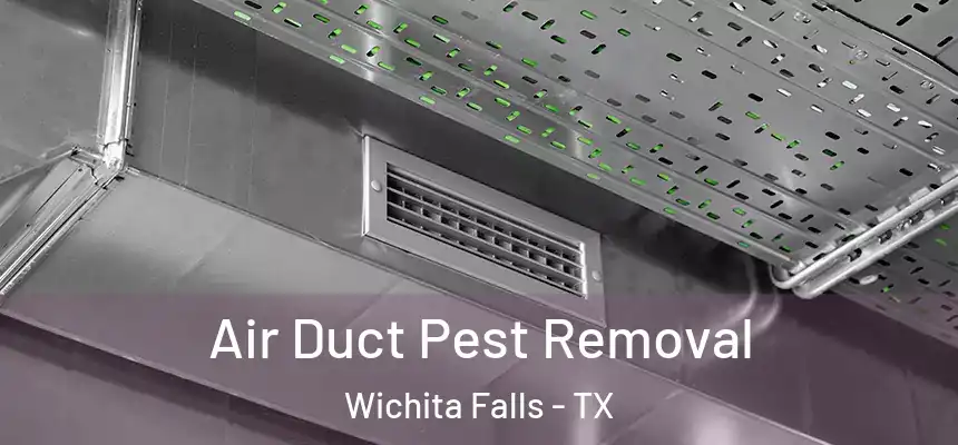 Air Duct Pest Removal Wichita Falls - TX