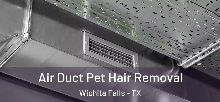 Air Duct Pet Hair Removal Wichita Falls - TX