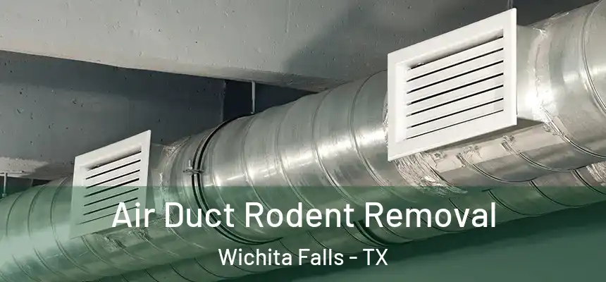 Air Duct Rodent Removal Wichita Falls - TX