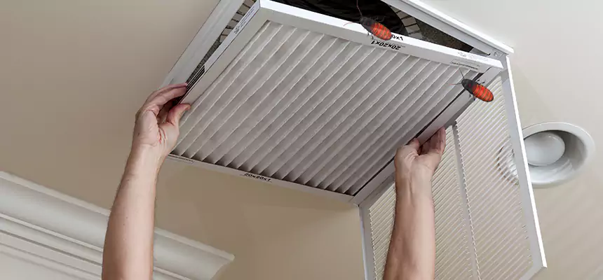 Preventive Cockroach-Proofing for Ducts in Wichita Falls