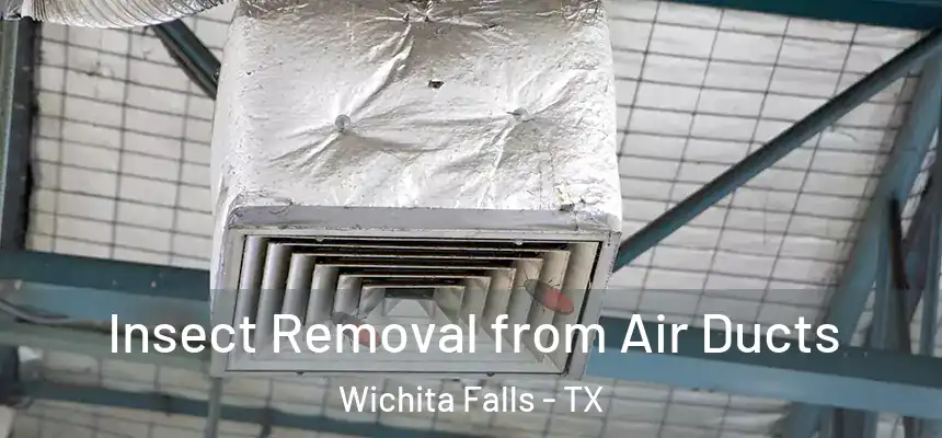 Insect Removal from Air Ducts Wichita Falls - TX