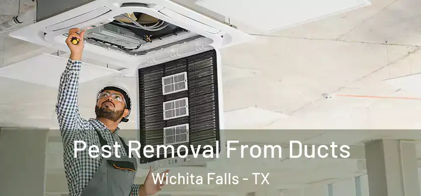  Pest Removal From Ducts Wichita Falls - TX