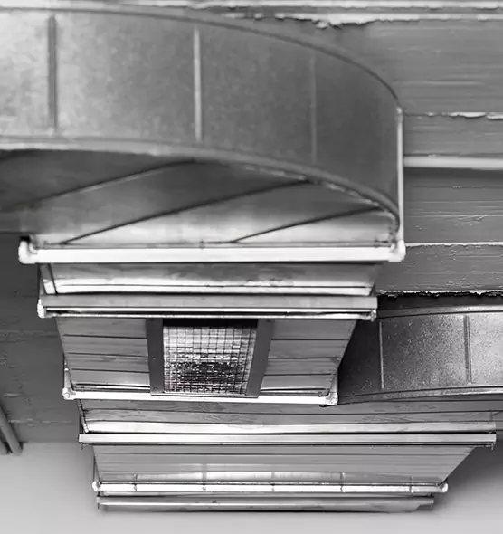 Professional Air Duct Pet Hair Removal in Wichita Falls, TX