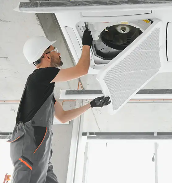 About Air Duct Rodent Removal in Wichita Falls, TX