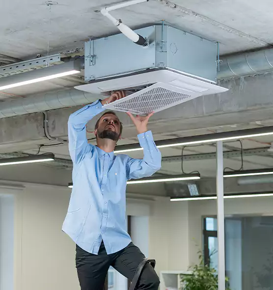 Advanced Rodent Droppings In Vents in Wichita Falls, TX