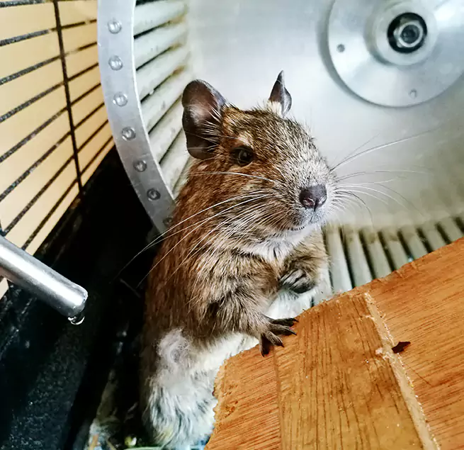 Why Homeowners & Businesses Trust Us Wichita Falls, TX