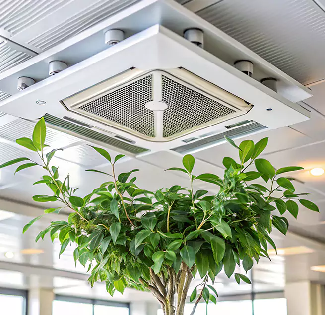 Why Homeowners & Businesses Trust Us in Wichita Falls, TX?